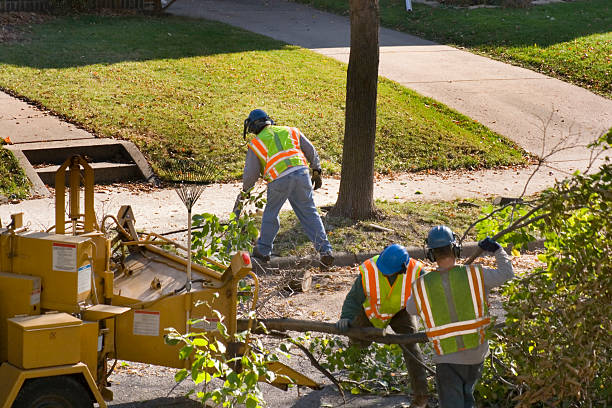 Best Emergency Tree Removal  in Rosenhayn, NJ